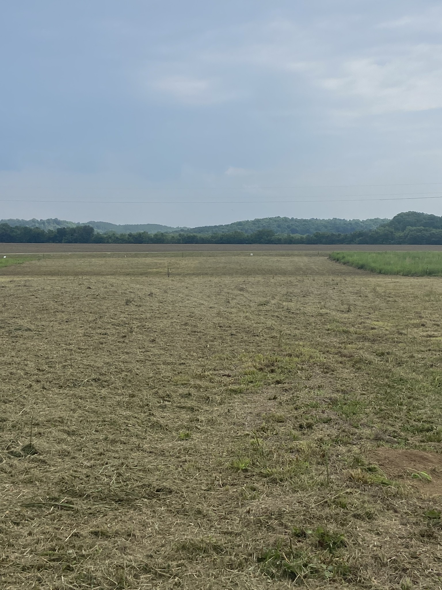 269 Hardin Bottom River Road Clifton, TN 38425 - Photo 21 of 30