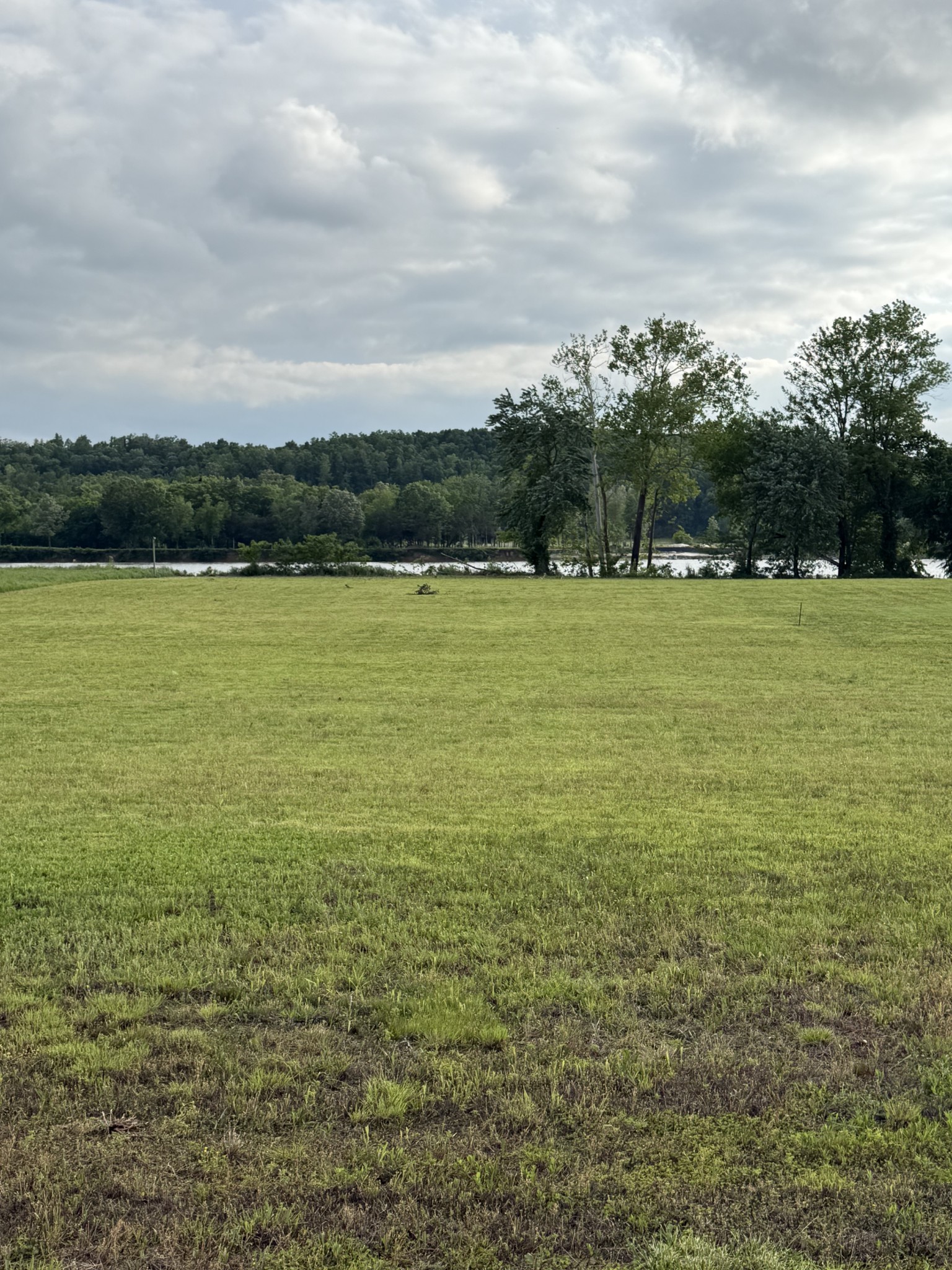 269 Hardin Bottom River Road Clifton, TN 38425 - Photo 22 of 30