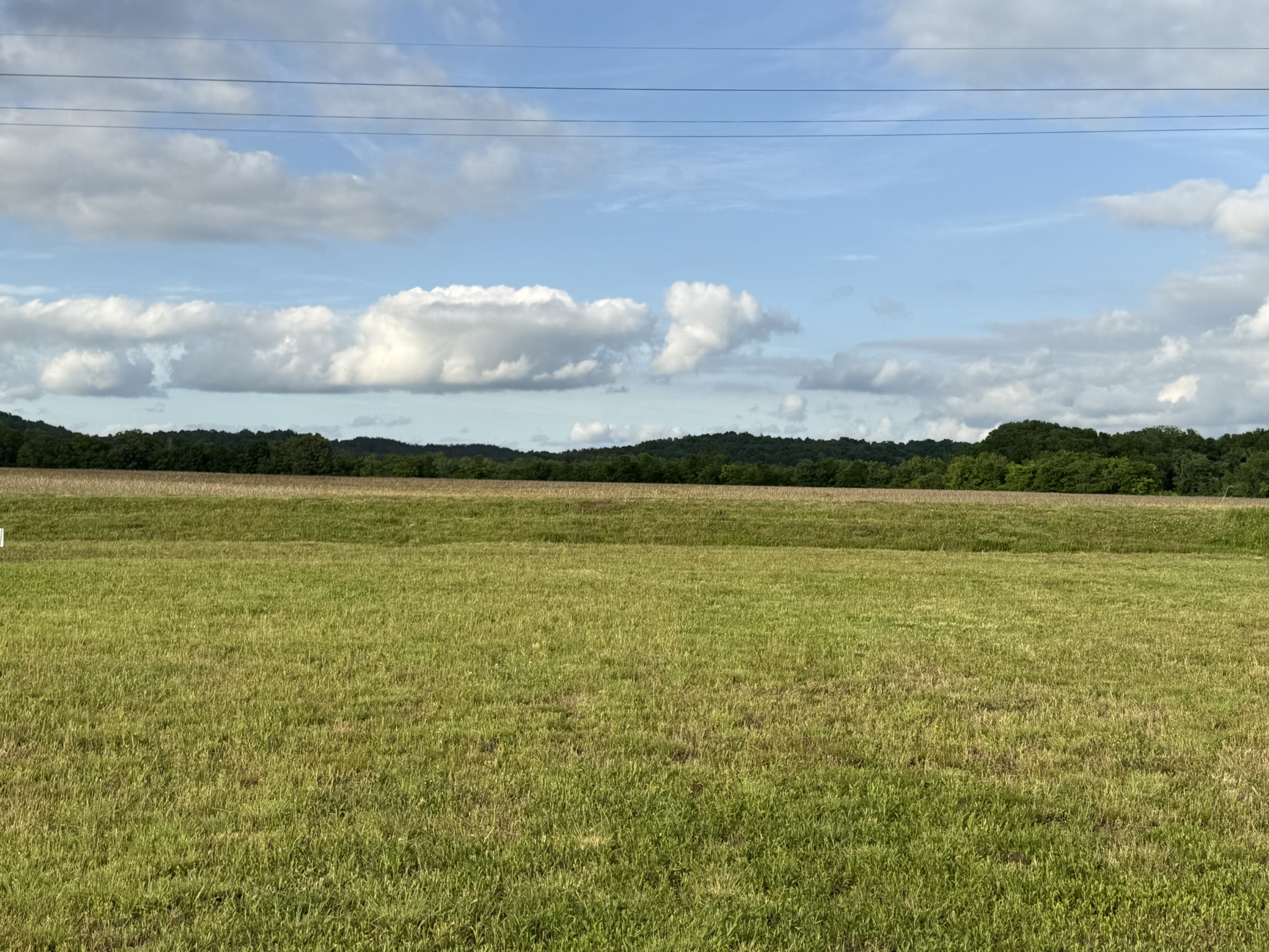 269 Hardin Bottom River Road Clifton, TN 38425 - Photo 24 of 30