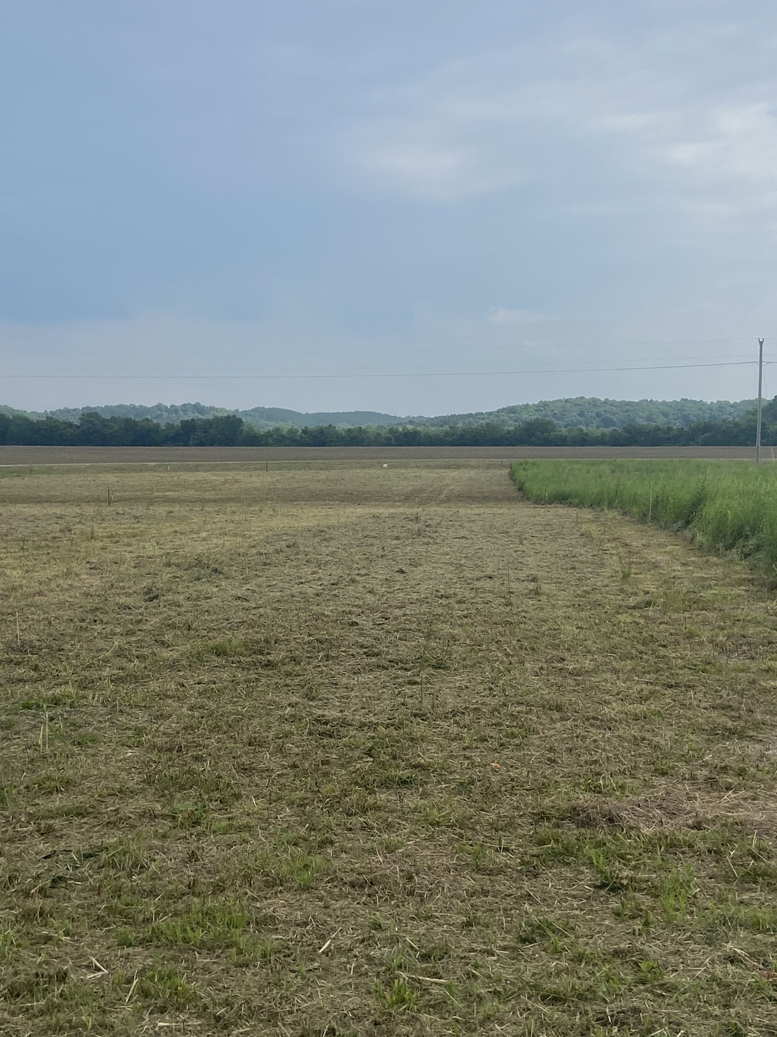 269 Hardin Bottom River Road Clifton, TN 38425 - Photo 4 of 30