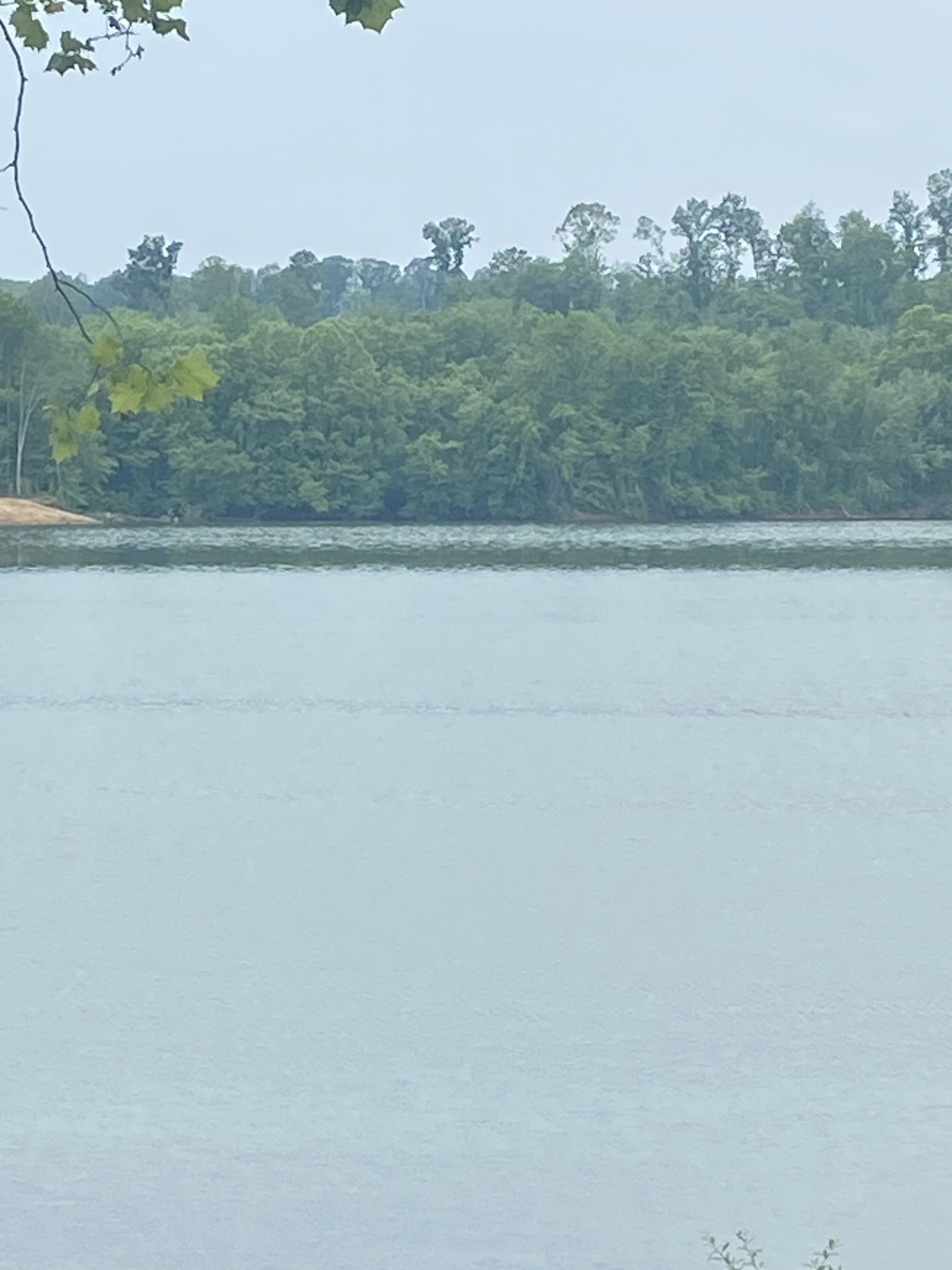 269 Hardin Bottom River Road Clifton, TN 38425 - Photo 10 of 30