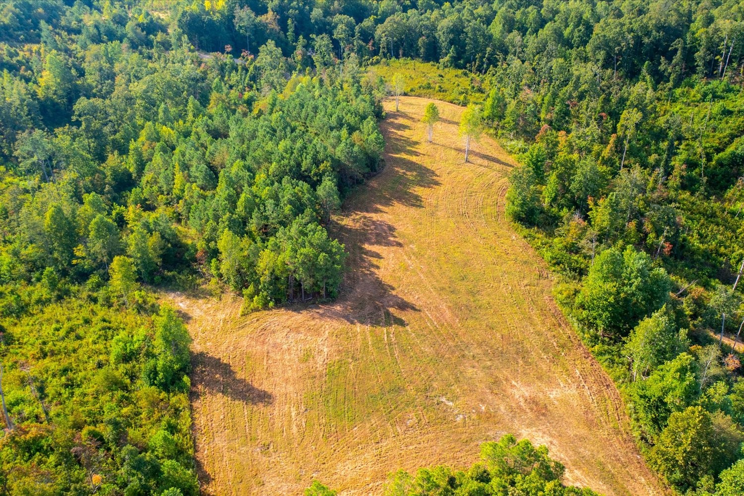 0 Kro Hollow Road Hohenwald, TN 38462 - Photo 2 of 35 Gallery Image 2