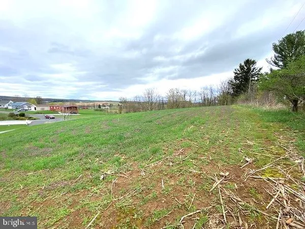 a view of a field with an trees