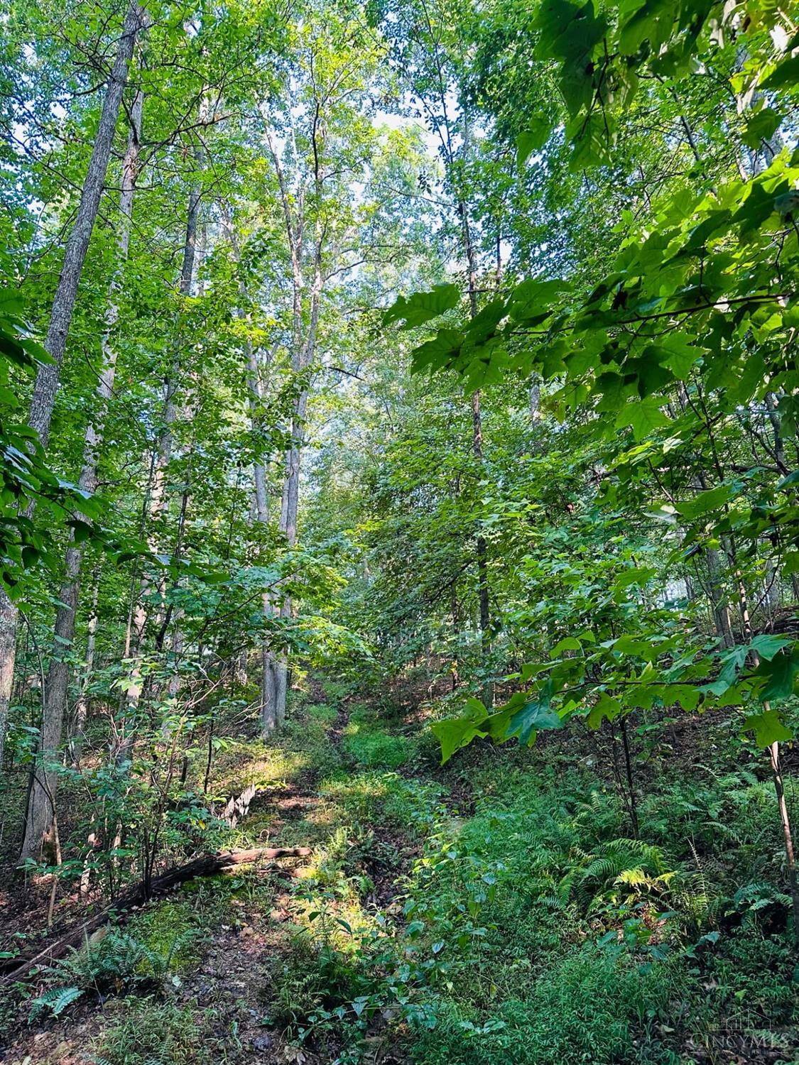 6329 Sunshine Ridge Road Blue Creek, OH 45616 - Photo 41 of 89