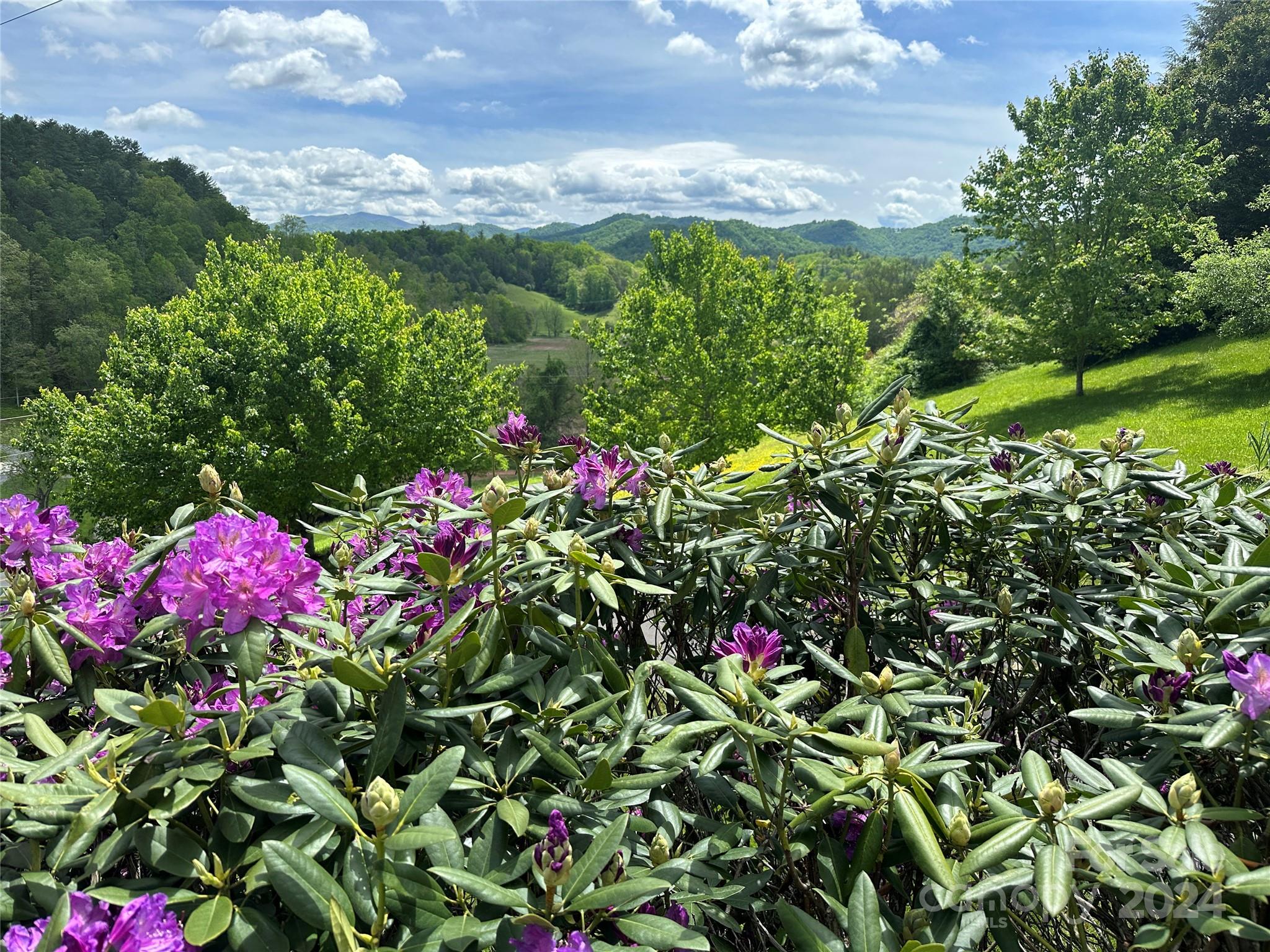 34 Walnut Cove Road Mars Hill, NC 28754 - Photo 1 of 42 Gallery Image 1