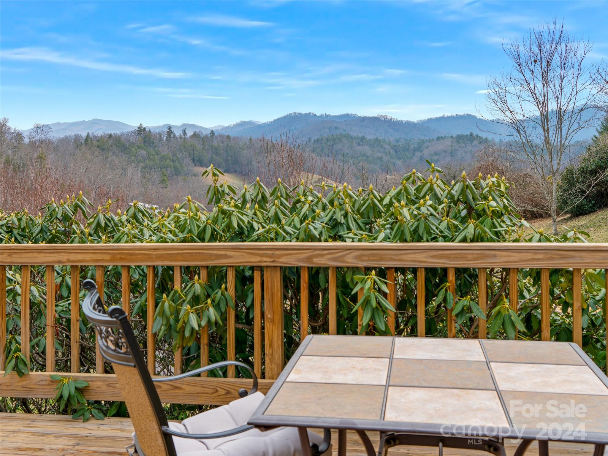 34 Walnut Cove Road Mars Hill, NC 28754 - Photo 35 of 42 Gallery Image 35