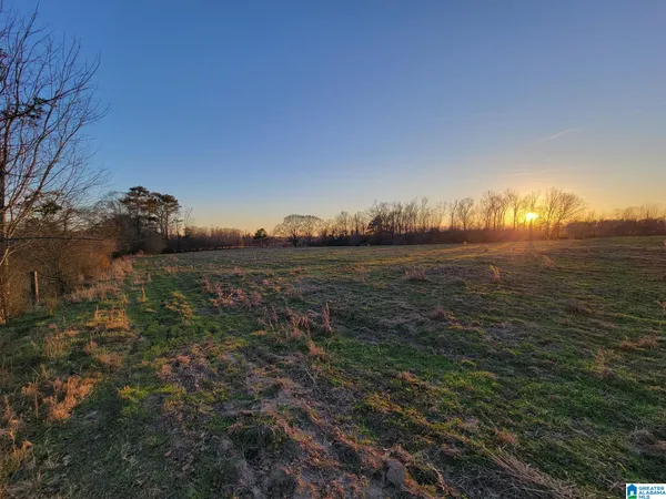 $350,000 | 2091 County Road 13, Unit 2091, Clanton, AL 35045