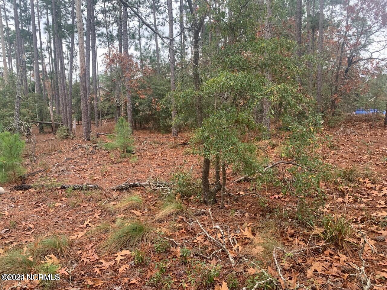 3-5 Raeford Road Southport, NC 28461 - Photo 1 of 5 Raeford Road BSL