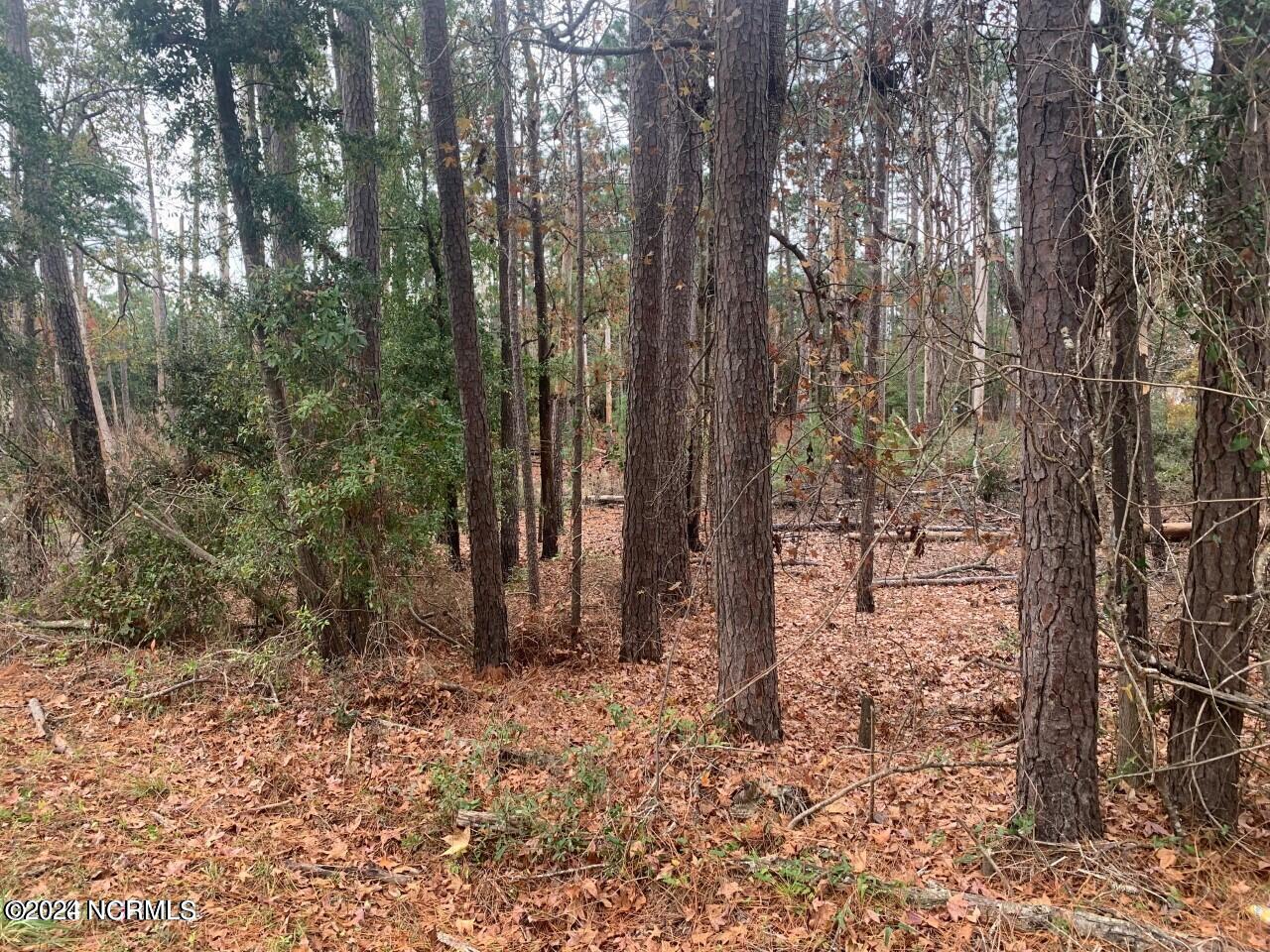 3-5 Raeford Road Southport, NC 28461 - Photo 3 of 5 Raeford 4