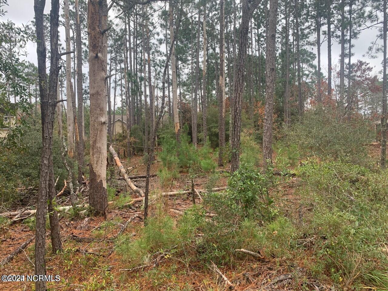 3-5 Raeford Road Southport, NC 28461 - Photo 4 of 5 Raeford 3