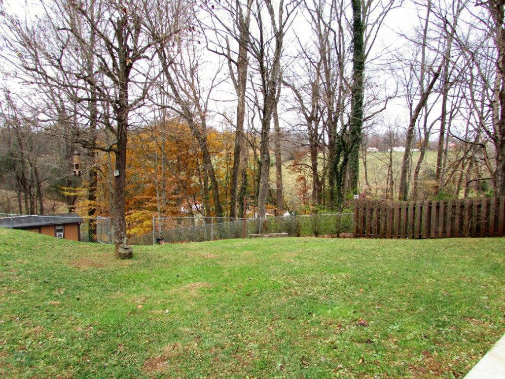270 Old Watauga Road Elizabethton, TN 37643 - Photo 8 of 36 Photo 8