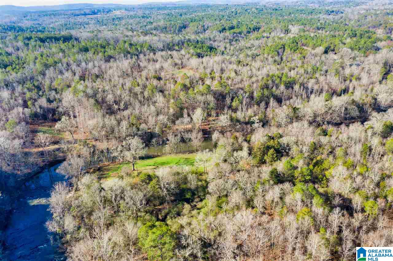 0 County Road 8, Unit 1 Clanton, AL 35045 - Photo 20 of 30