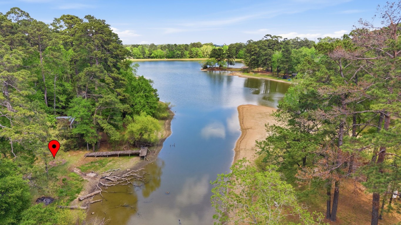 907 Columbia River Road Montgomery, TX 77316 - Photo 20 of 34 a view of a lake with a house in the background