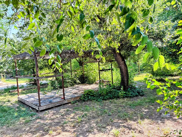 a view of a backyard