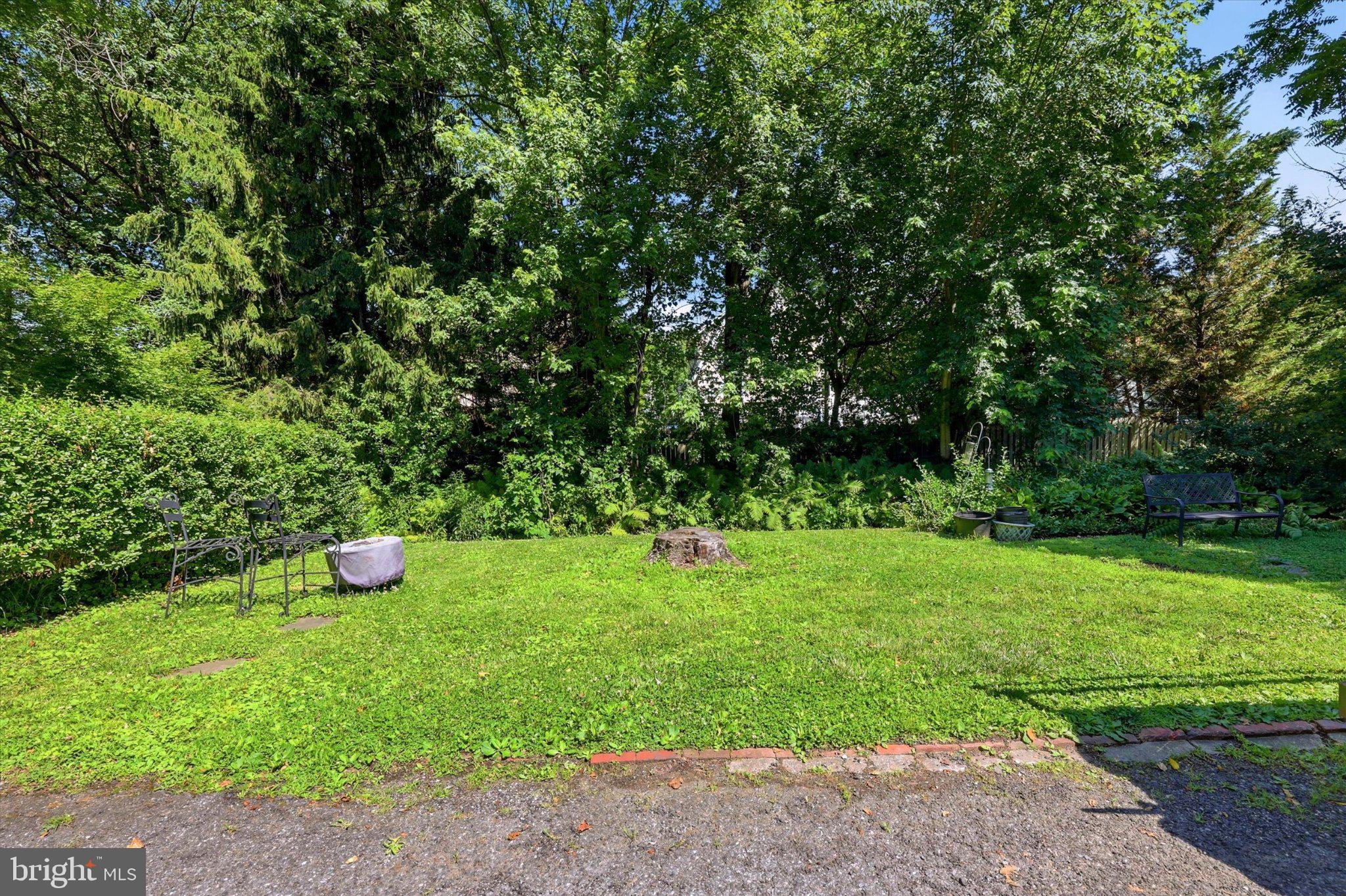 107 Plant Avenue Wayne, PA 19087 - Photo 2 of 15 Lush green retreat with cozy seating.