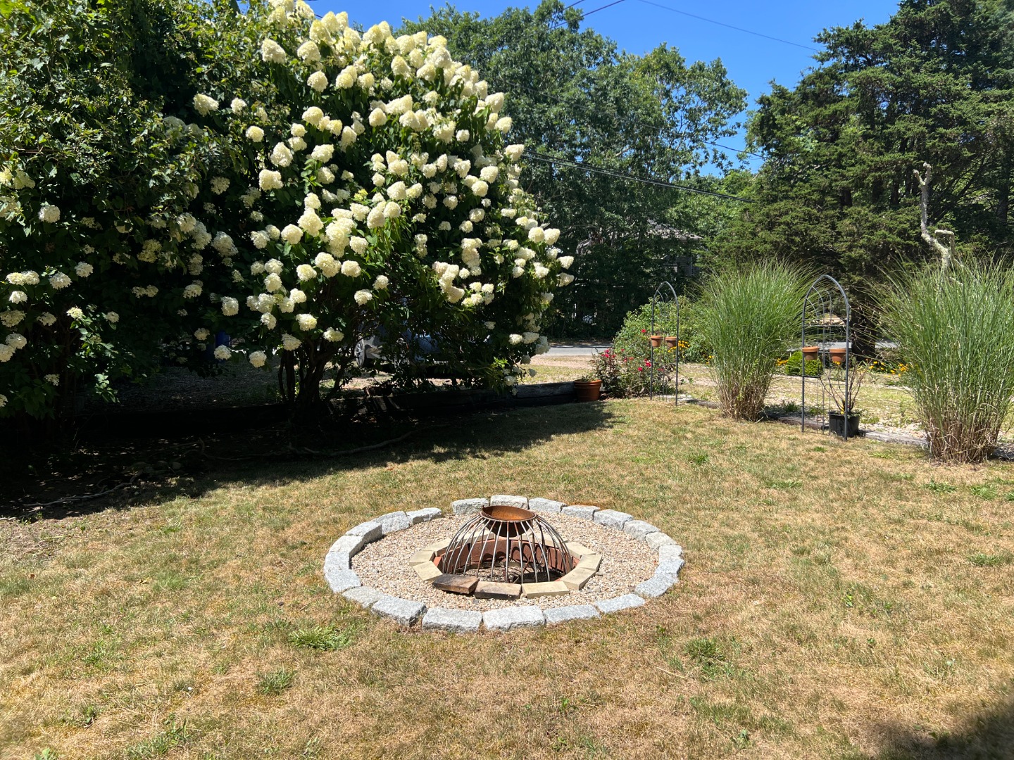 67 12th Street Edgartown, MA 02539 - Photo 21 of 23 a view of outdoor space and tree