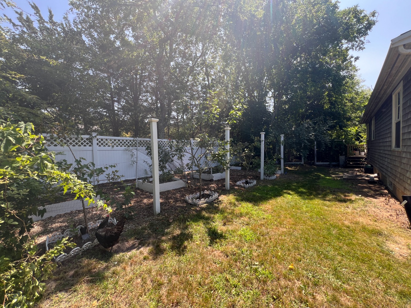 67 12th Street Edgartown, MA 02539 - Photo 22 of 23 a view of backyard with tree