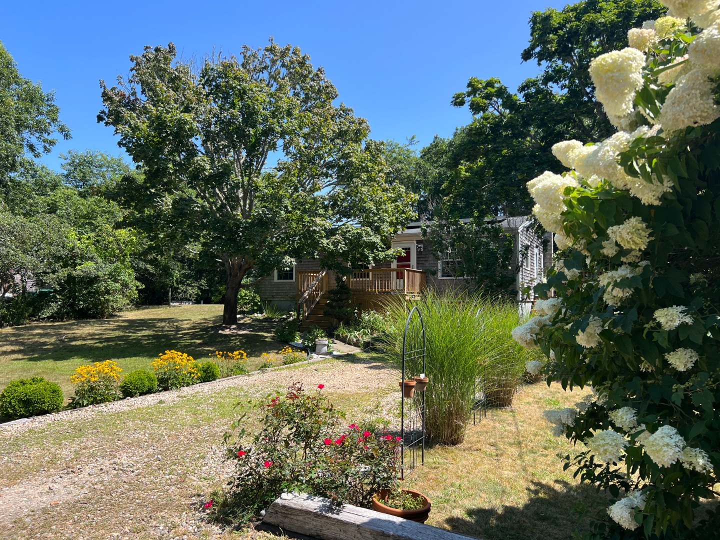 67 12th Street Edgartown, MA 02539 - Photo 3 of 23 a view of a garden with plants and large trees