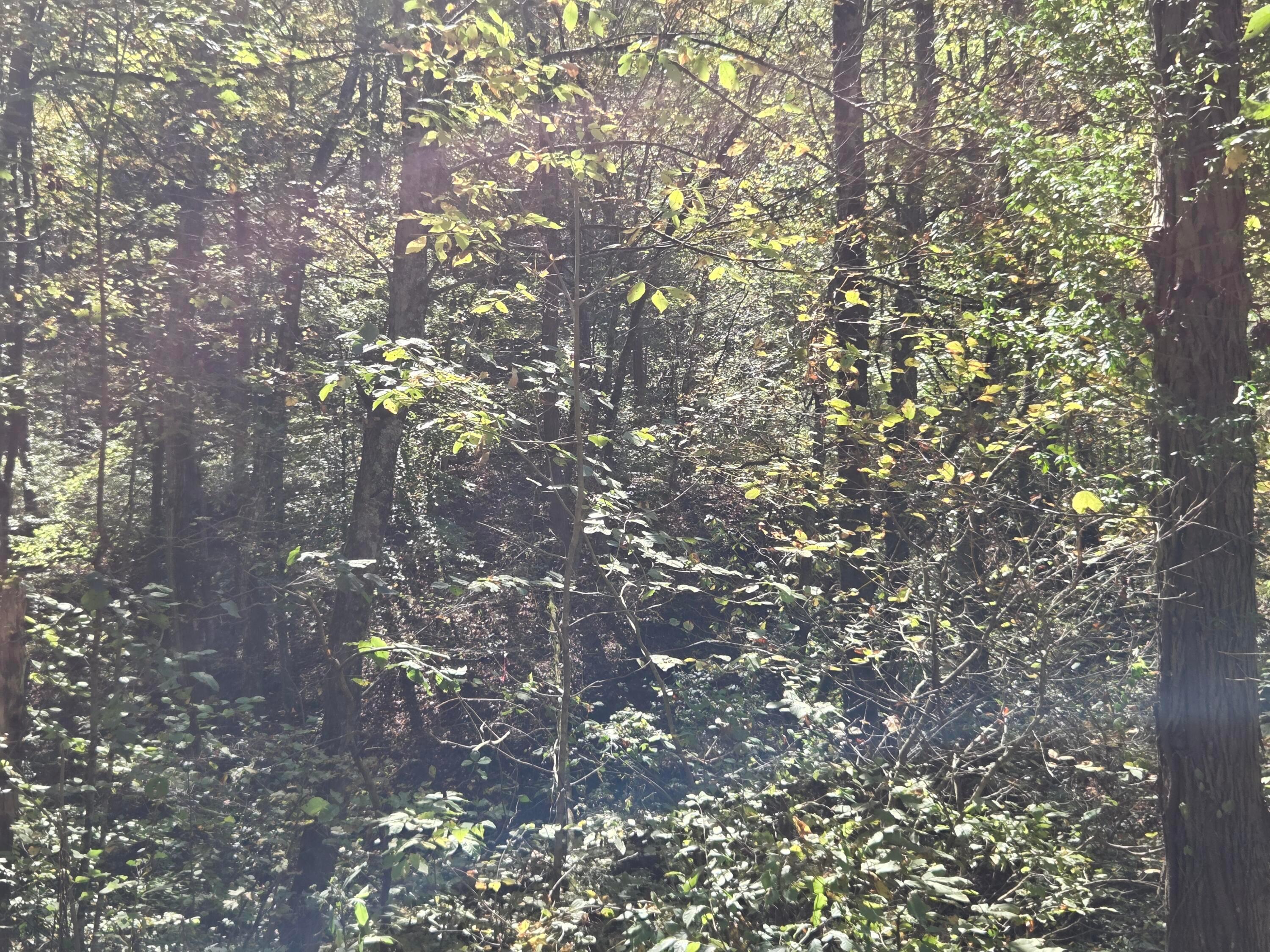 0 Newells Run Road Newport, OH 45768 - Photo 20 of 21 pic8