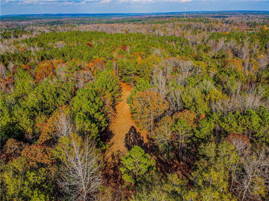 6535 Lee Road Salem, AL 36874 - Photo 15 of 16 Gallery Image 15