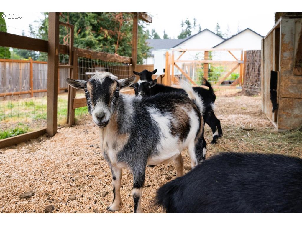 17762 South Redland Road Oregon City, OR 97045 - Photo 35 of 37 a view of a porch with furniture