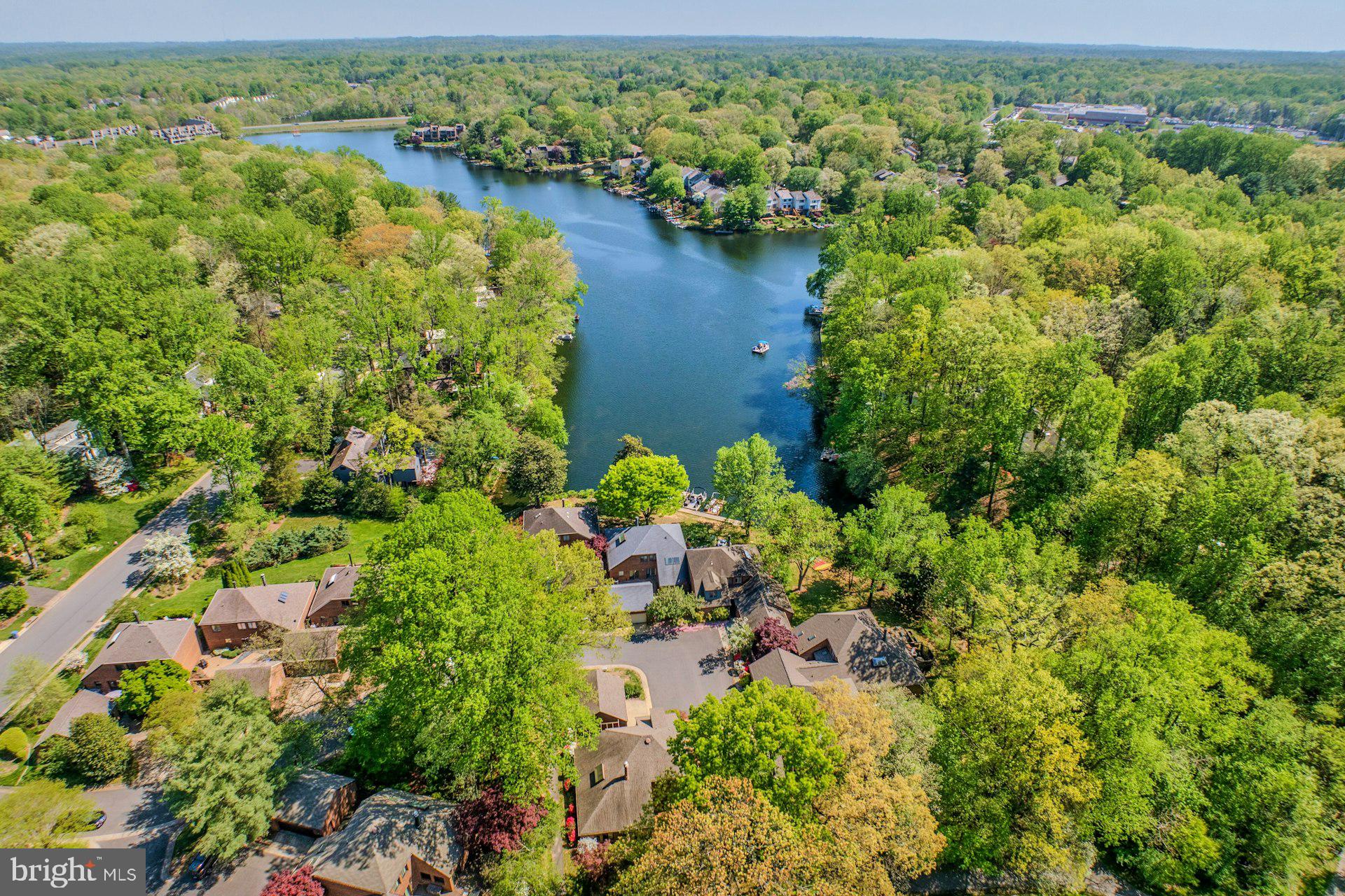 11310 Harborside Cluster Reston, VA 20191 - Photo 70 of 71 Lush lakeside home set in vibrant greenery.