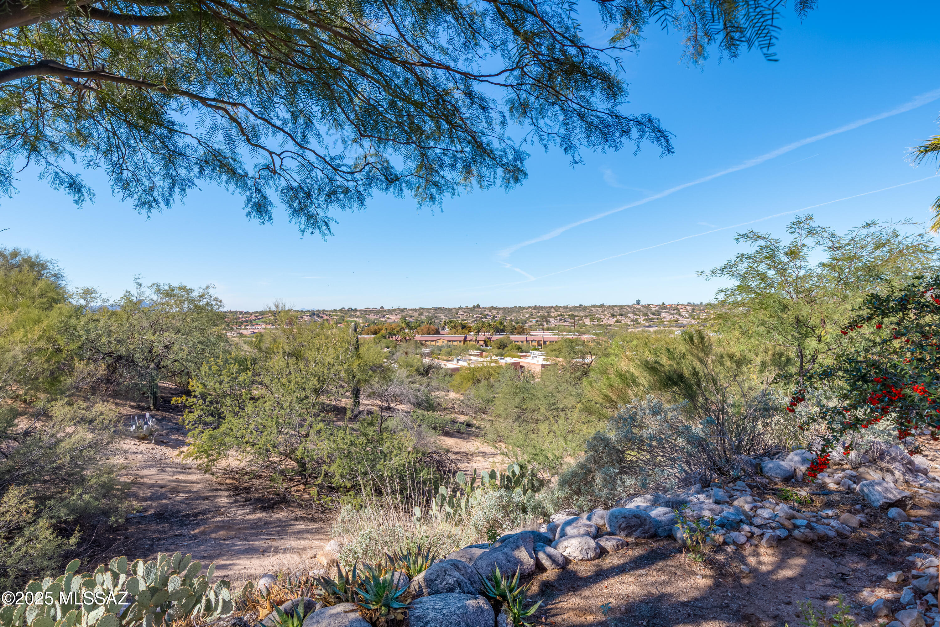 8665 North Coral Ridge Loop Tucson, AZ 85704 - Photo 28 of 38