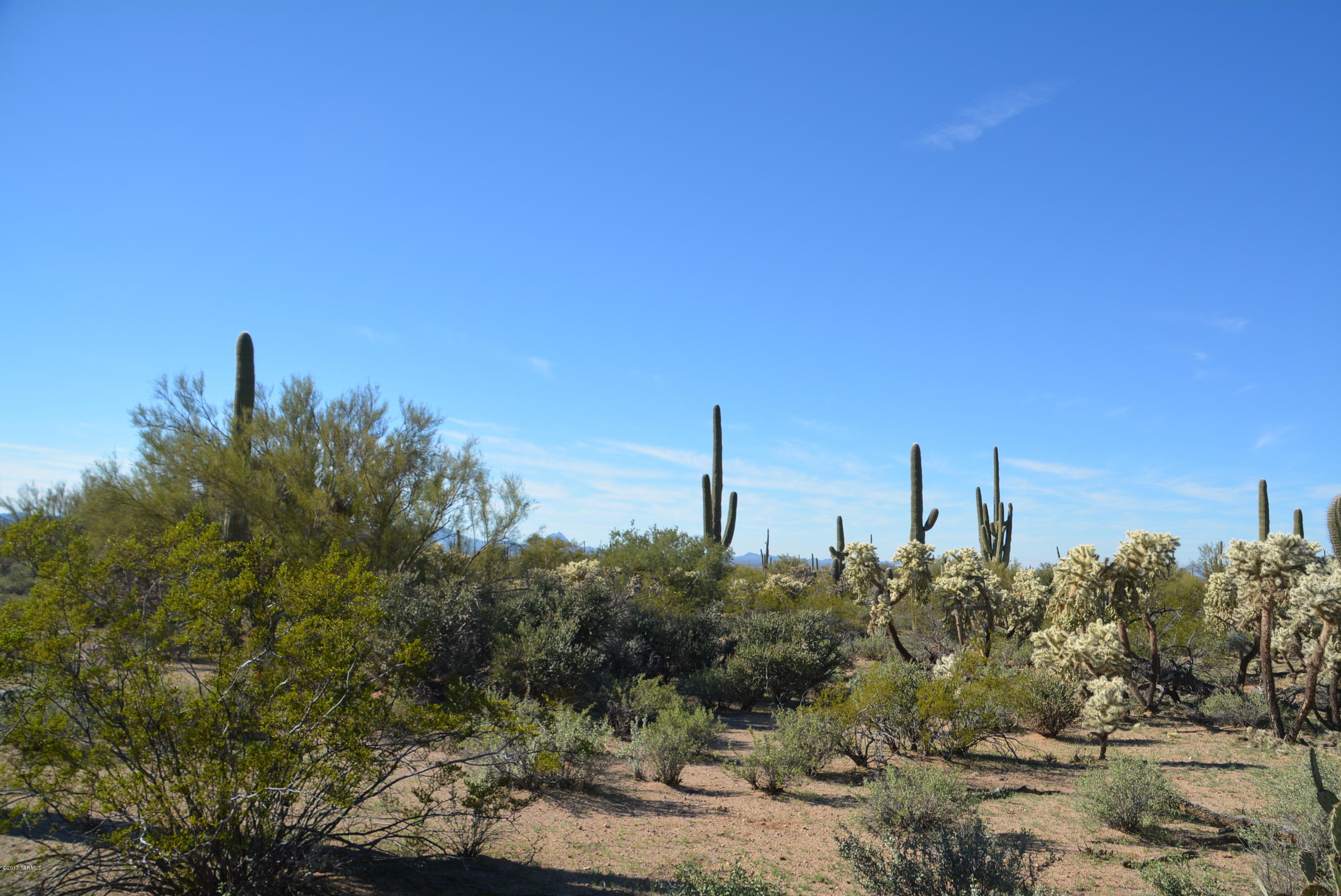 11700 West Rudasill Road, Unit LOT 4 Tucson, AZ 85743 - Photo 12 of 33