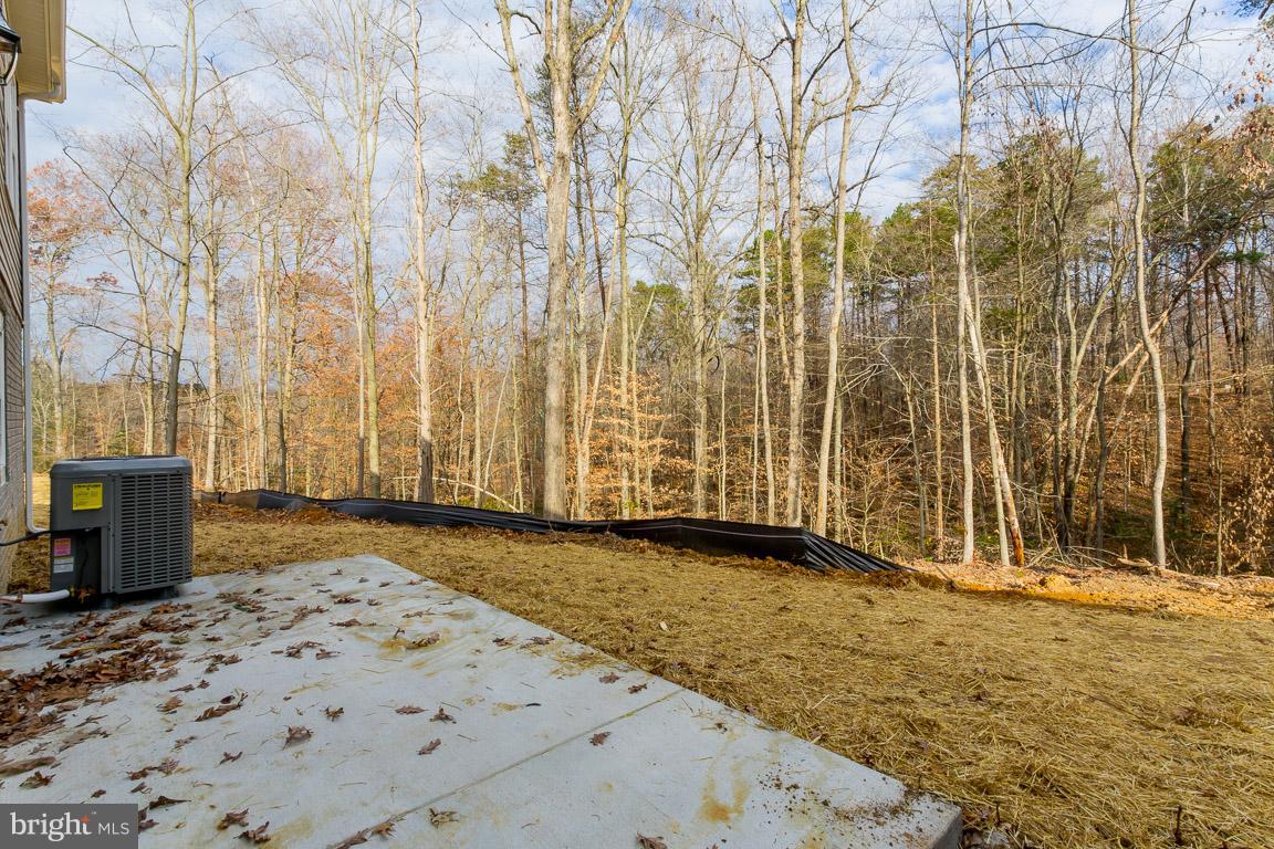 7575 Rachael's Way Culpeper, VA 22701 - Photo 28 of 30 View