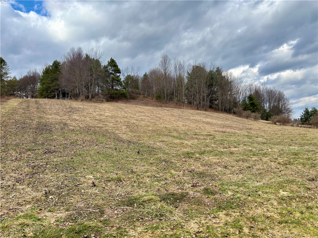 332 Upper Dutch Hill Road Oneonta, NY 13820 - Photo 48 of 50