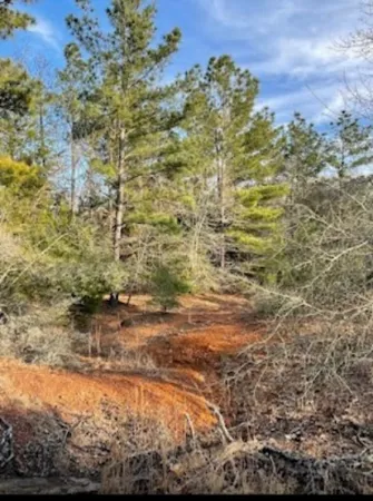 a view of an outdoor space and tv