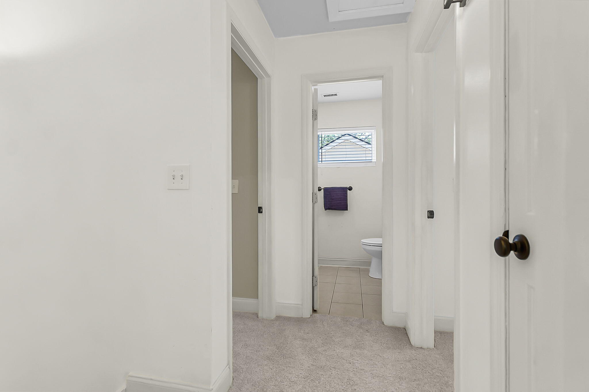 2407 Castlereagh Road Charleston, SC 29414 - Photo 26 of 59 CREM - 2407 Castlereagh - full reshoot-4
