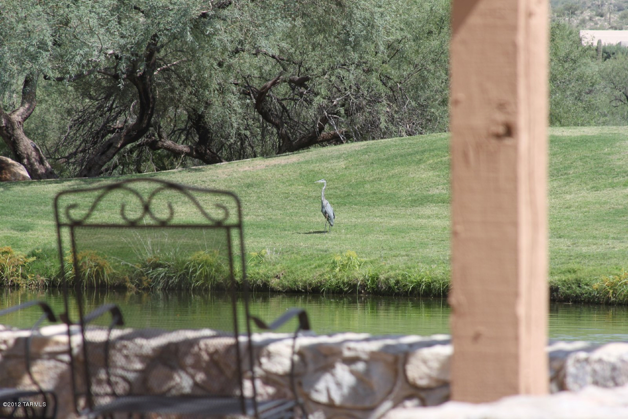 13301 East Scout Rest Road Tucson, AZ 85749 - Photo 48 of 48