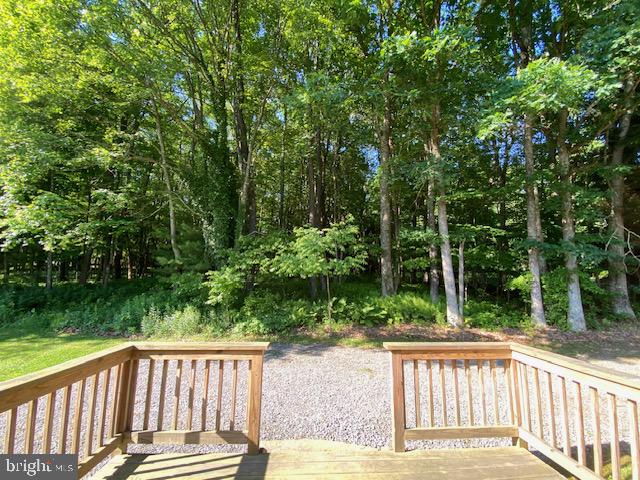 7216 Sang Run Road McHenry, MD 21541 - Photo 14 of 40 View from dining room.