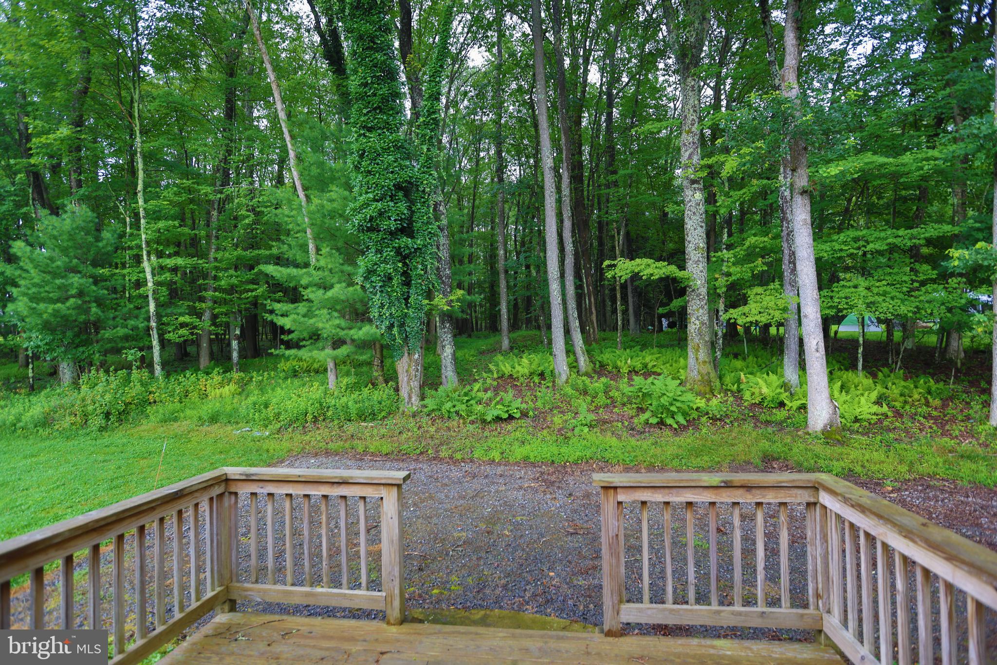 7216 Sang Run Road McHenry, MD 21541 - Photo 35 of 40 back deck with lovely woods behind.