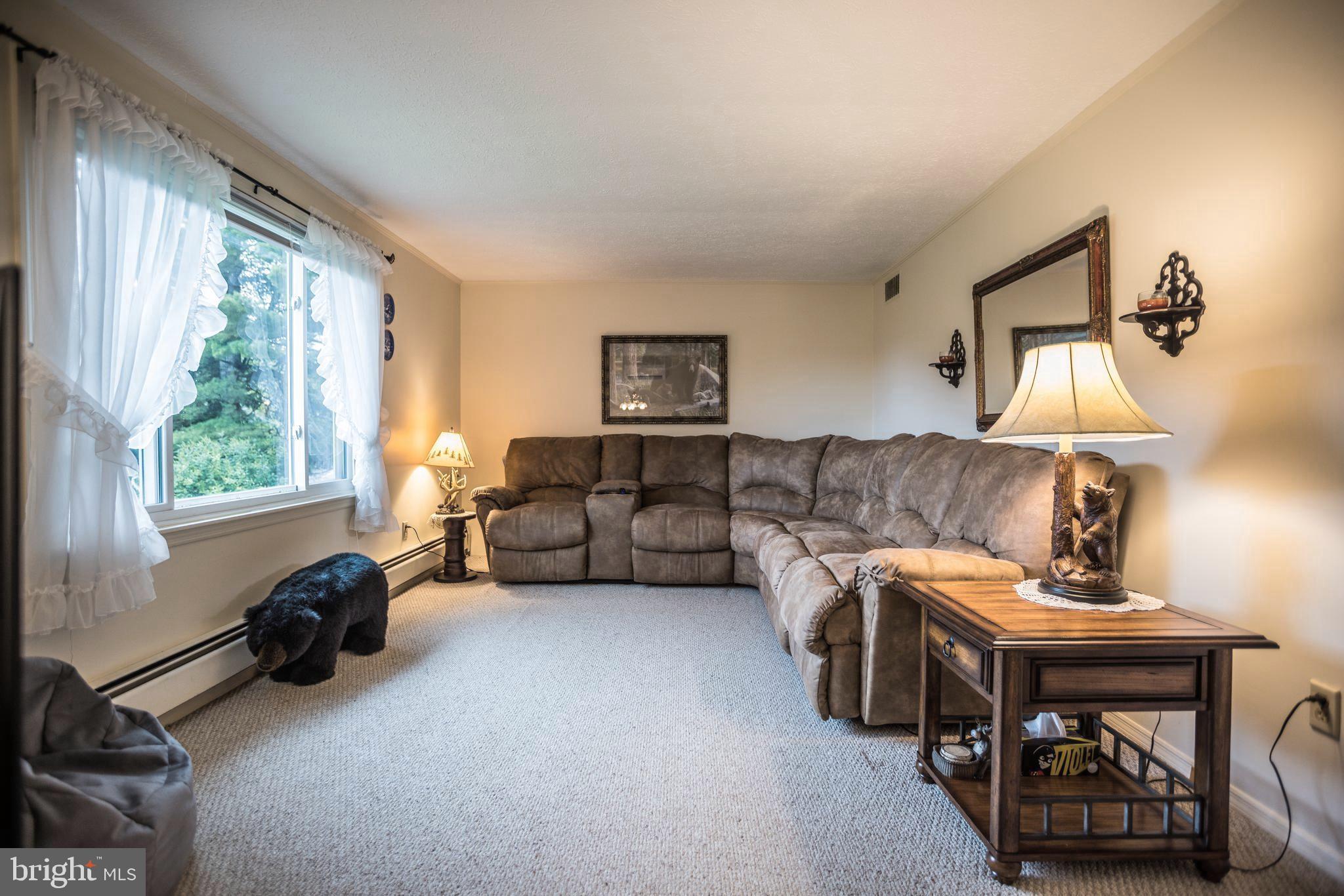 7216 Sang Run Road McHenry, MD 21541 - Photo 6 of 40 Main level living room