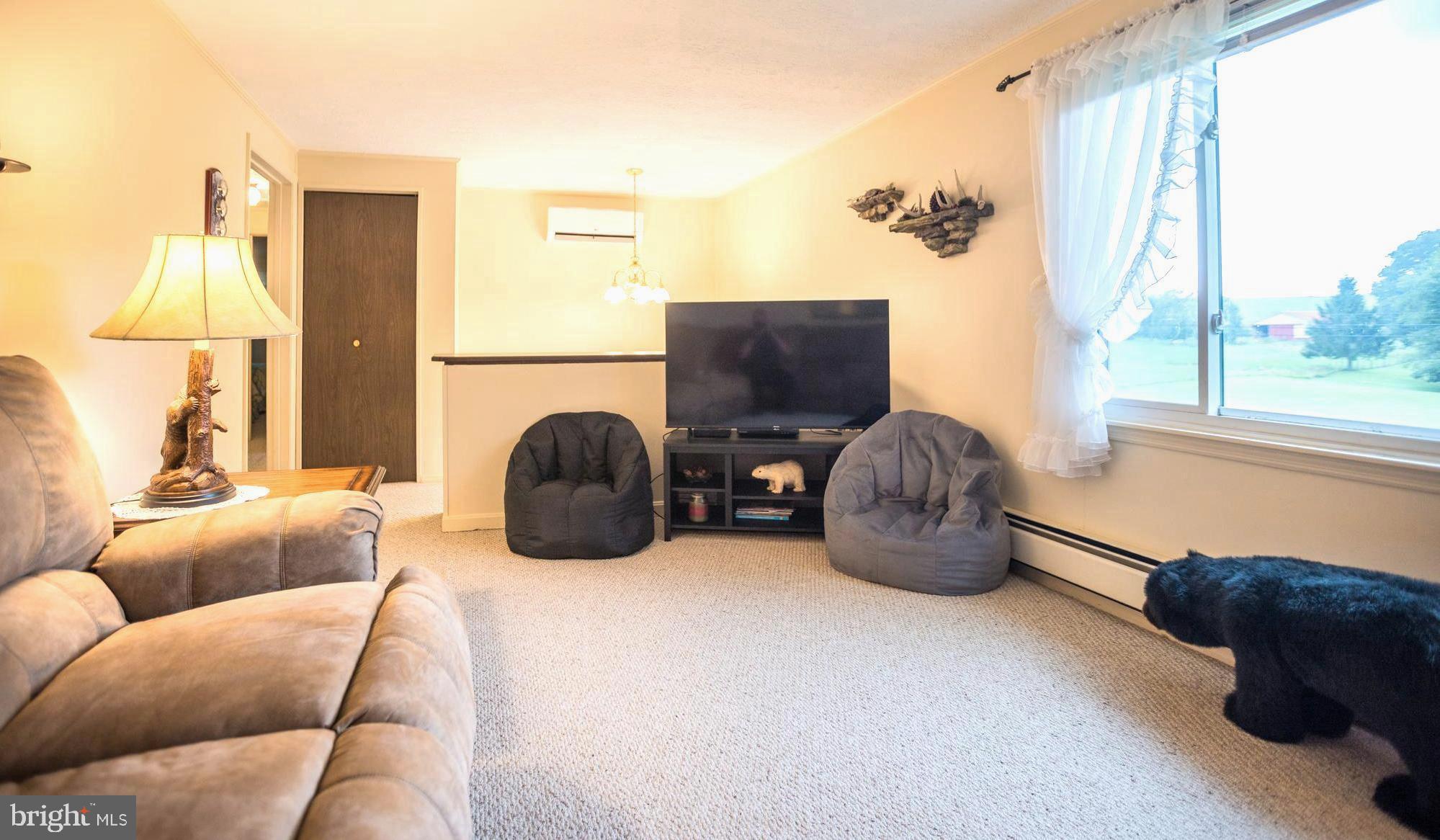 7216 Sang Run Road McHenry, MD 21541 - Photo 7 of 40 Large living room area open to foyer w/AC unit.