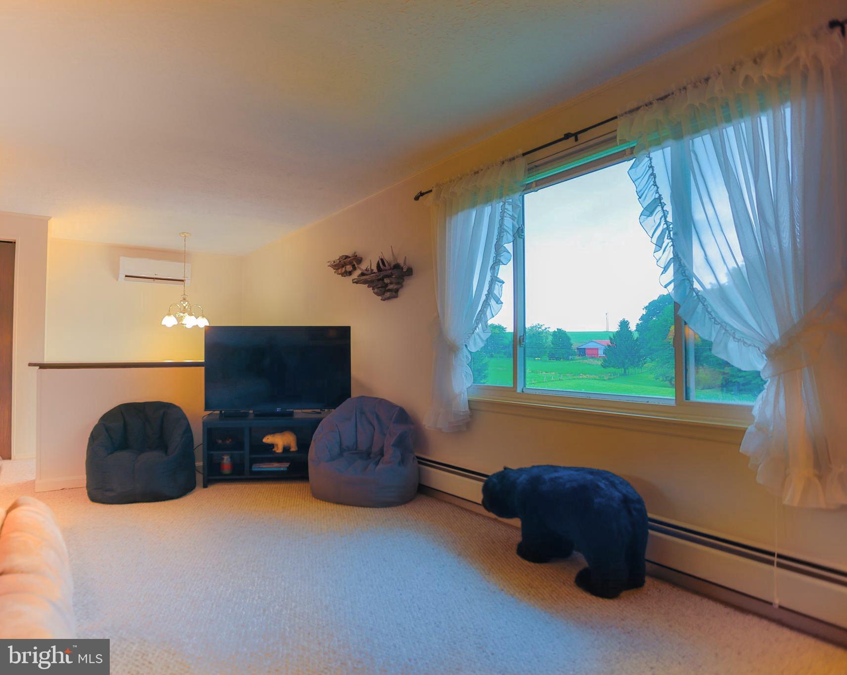 7216 Sang Run Road McHenry, MD 21541 - Photo 8 of 40 Beautiful picture window with lovely views