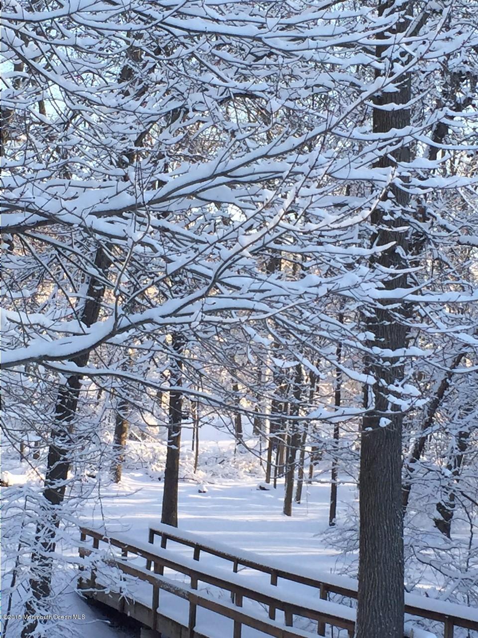 32 Chesapeake Road Manalapan, NJ 07726 - Photo 26 of 26 Winter
