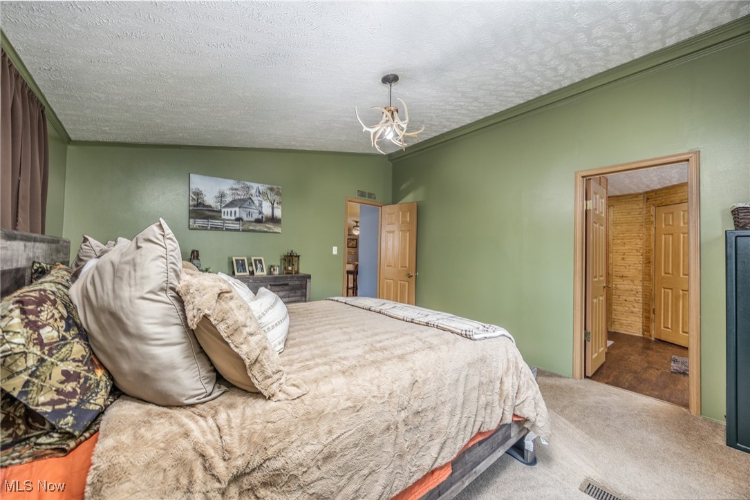 1788 Rosenbush Road Newport, OH 45768 - Photo 18 of 34 Bedroom with carpet flooring, vaulted ceiling, a textured ceiling, and ensuite bathroom