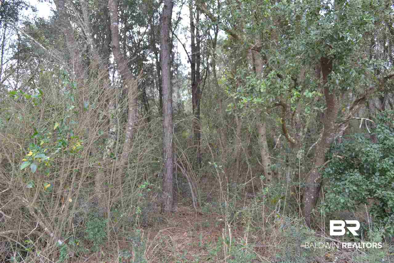 0 Mohr Lane Elberta, AL 36530 - Photo 10 of 15