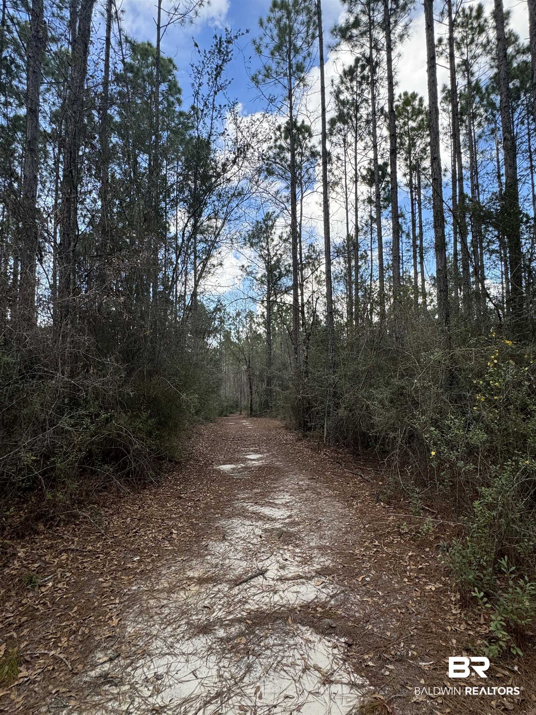 51235 Phillipsville Road Bay Minette, AL 36507 - Photo 56 of 63 view