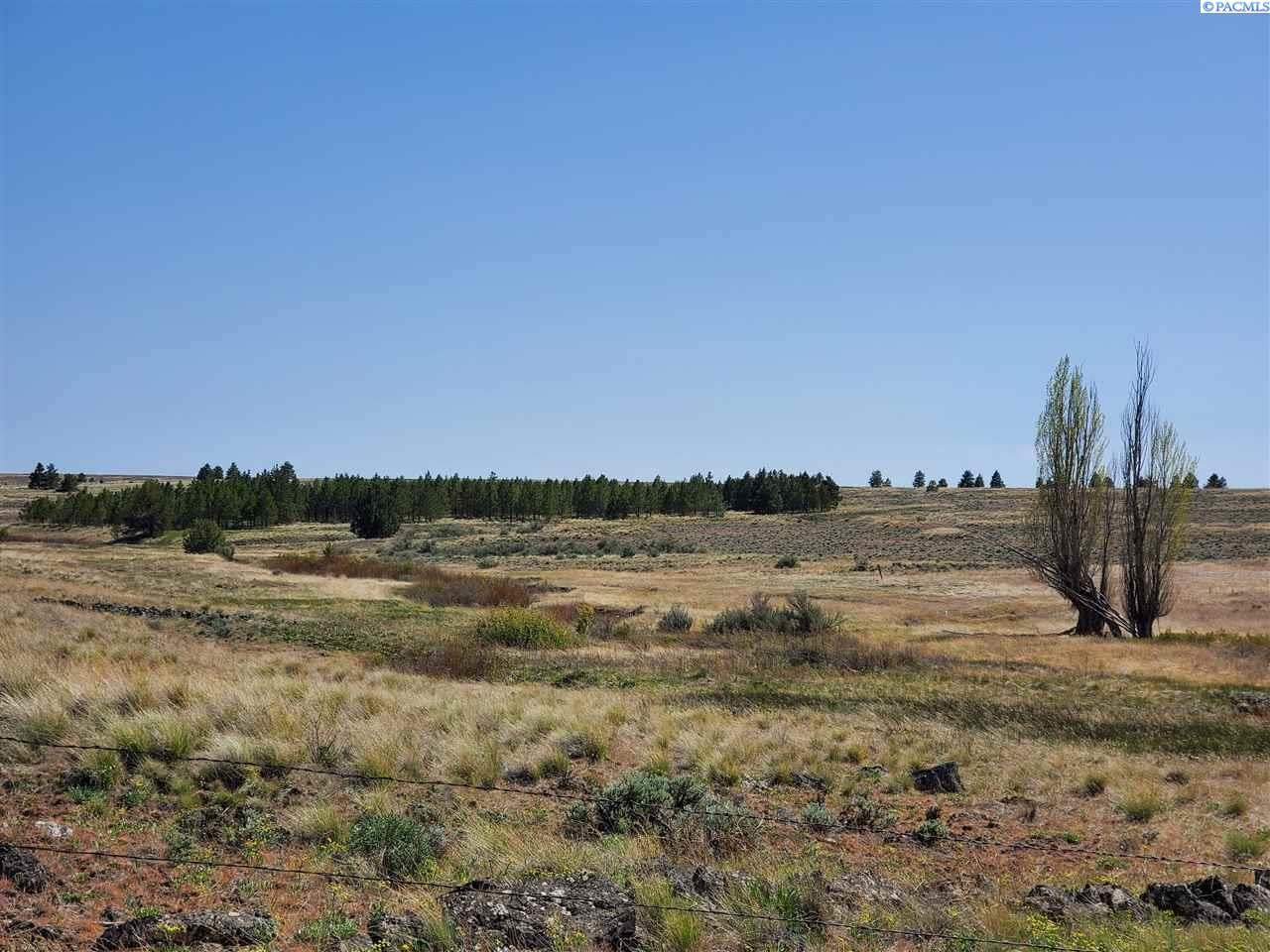 Tbd Duree Road Bickleton, WA 99322 - Photo 1 of 1 Gallery Image 1