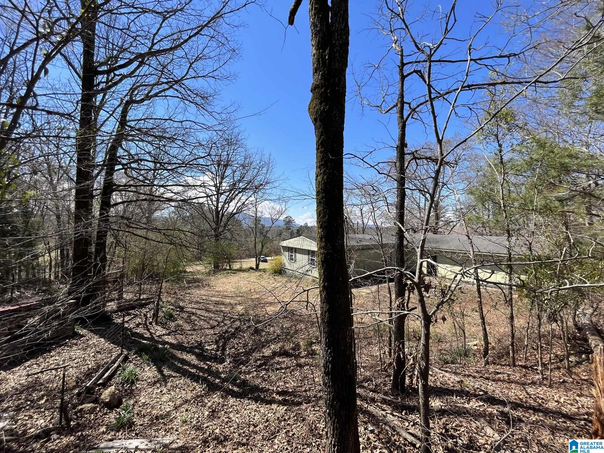 150 Wilson Mine Road, Unit 910 Piedmont, AL 36272 - Photo 25 of 36