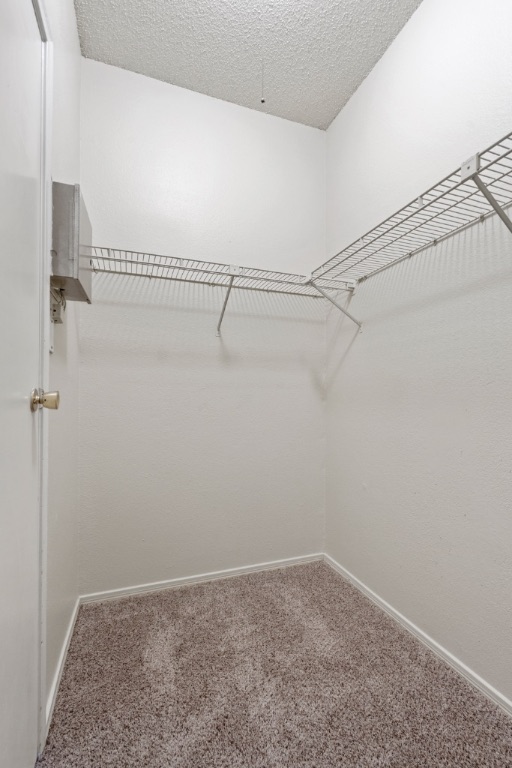 12166 Metric Boulevard, Unit 1013 Austin, TX 78758 - Photo 12 of 16 Walk in closet with carpet floors