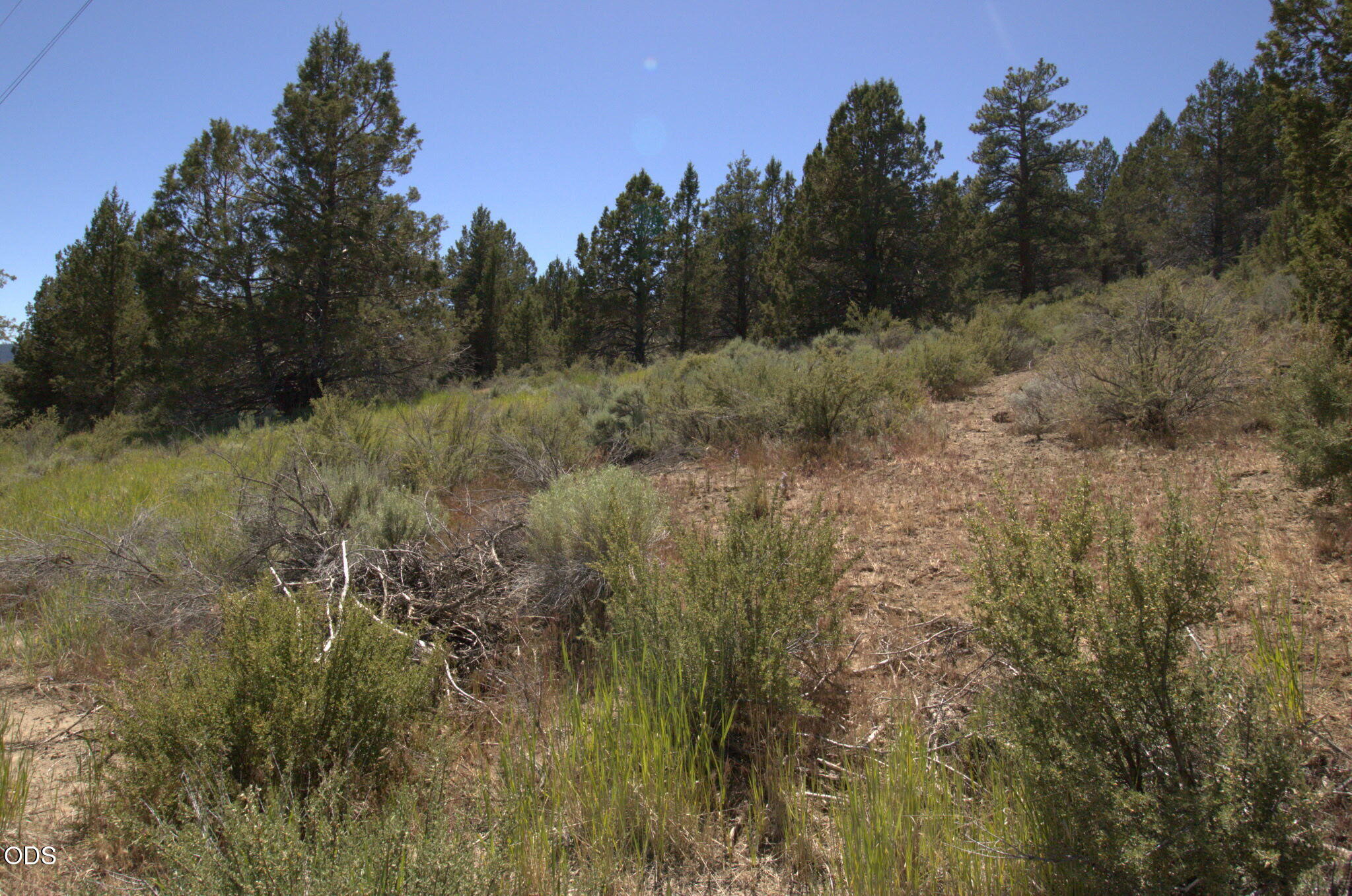 Wasco Street Chiloquin, OR 97624 - Photo 5 of 5