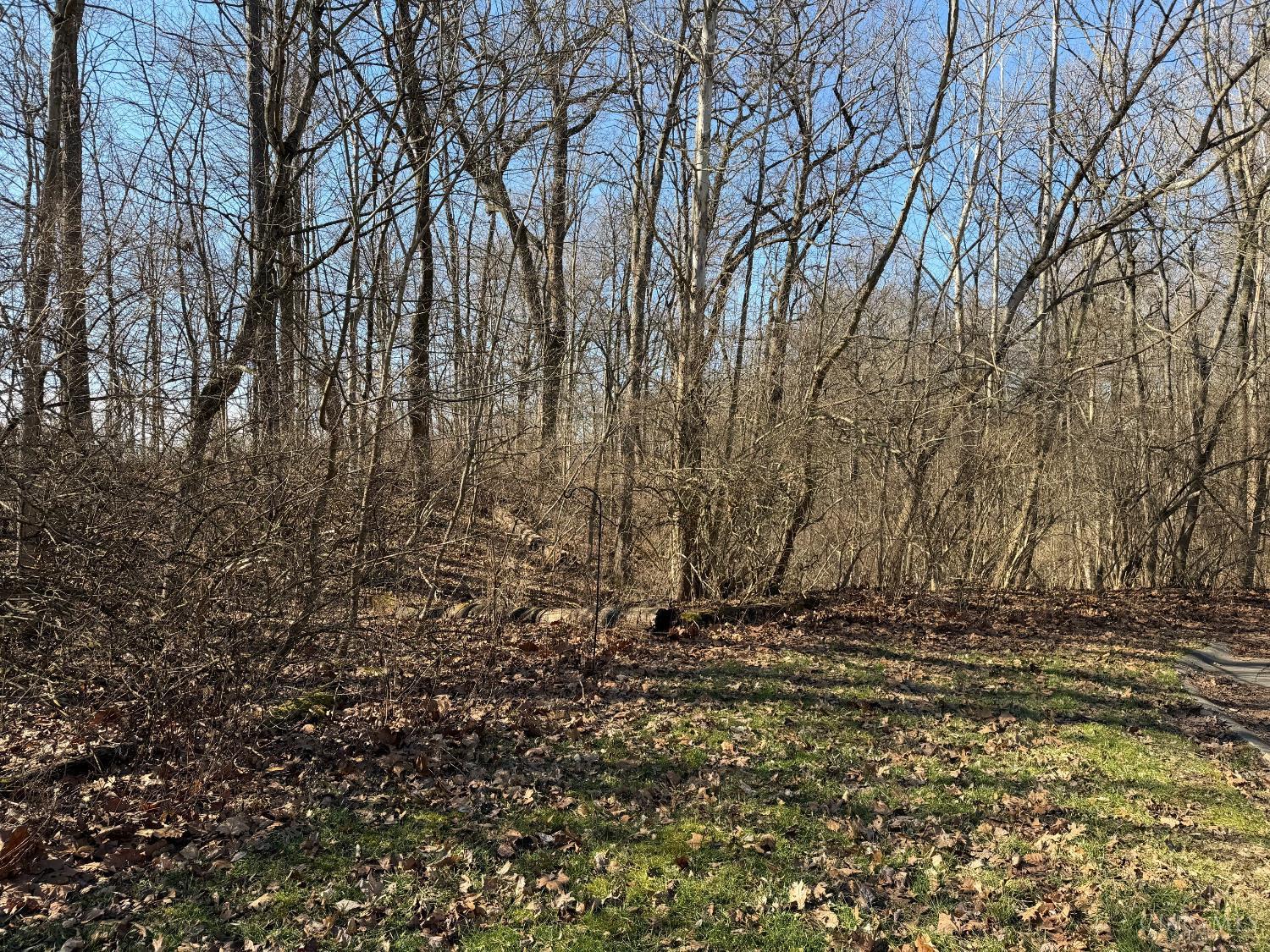 0 Watch Point Drive Cincinnati, OH 45230 - Photo 3 of 5