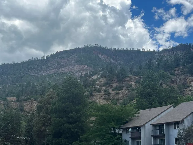 a view of a lot of trees in the background