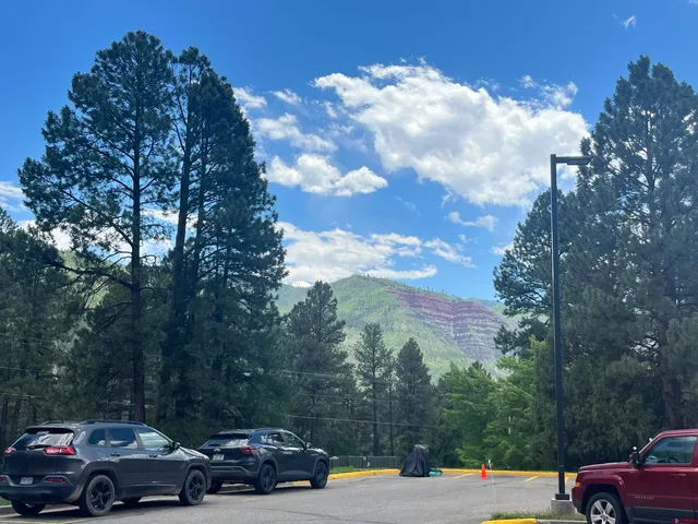 a backyard of a house with a yard and outdoor seating