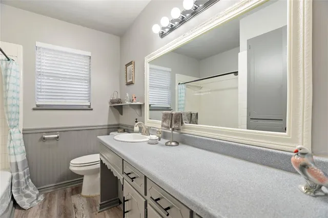 a bathroom with a sink a toilet a mirror and shower